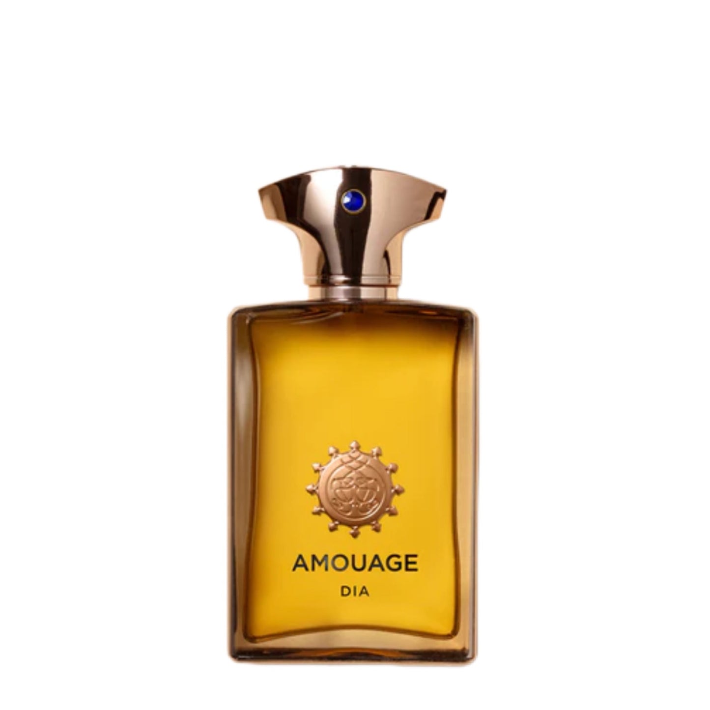 AMOUAGE DIA MAN EDP 100ML (TESTER)